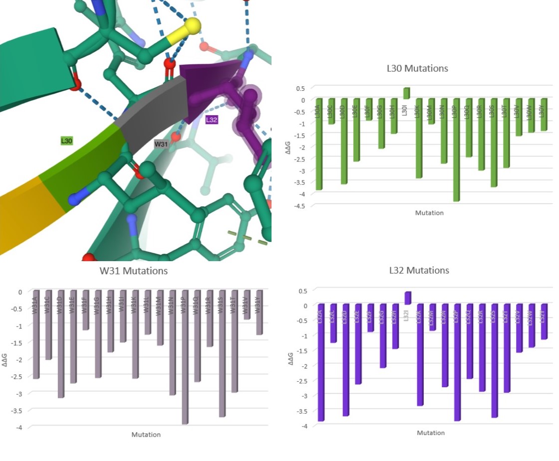 Single and Pairwise Mutations and Their Impact on SARS-CoV-2 Proteins