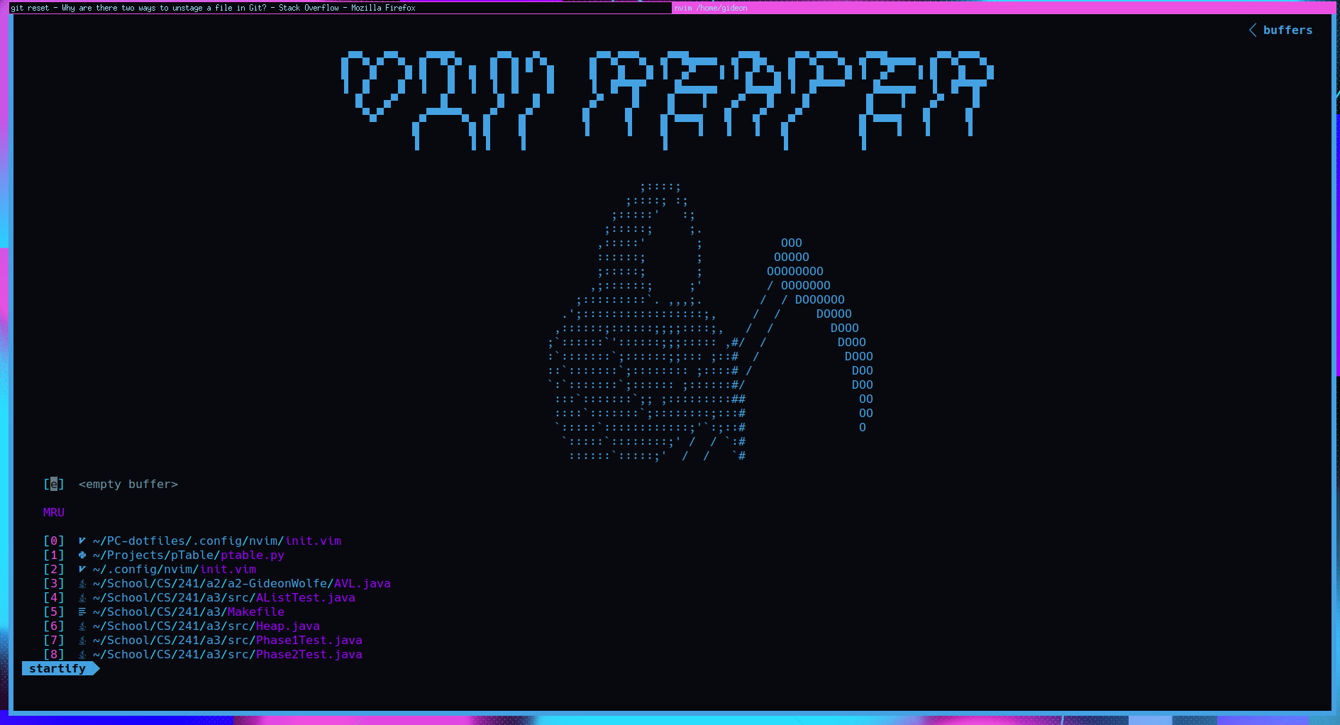 vim.reaper: 💀 A Hackable, Fully Featured, Rice Friendly Neovim Configuration 